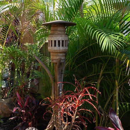 Bamboo Suite, 1 Bedroom, Sleeps 4, Pool & Bbq, Pre-Renovation Summer Sale Kihei Eksteriør bilde